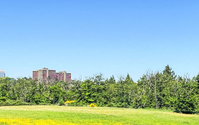 Amsel (A410) - Photo 24