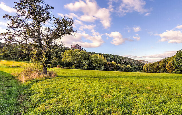 Amsel (A410) - Photo 25