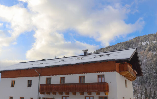 Edelweiss - Photo 29