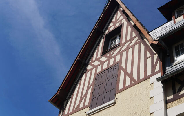 Mignonnette - Photo 18