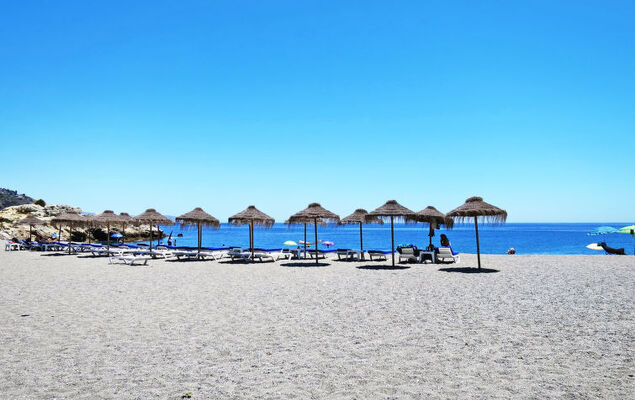 Bugambilla - Photo 24