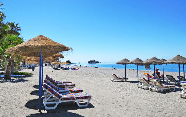 Bugambilla - Photo 26