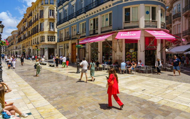 Malaga Pacifico - Photo 27