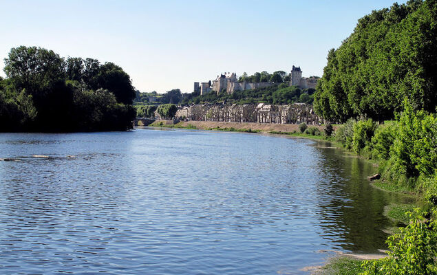 Les Landes du Chinonais - Photo 17
